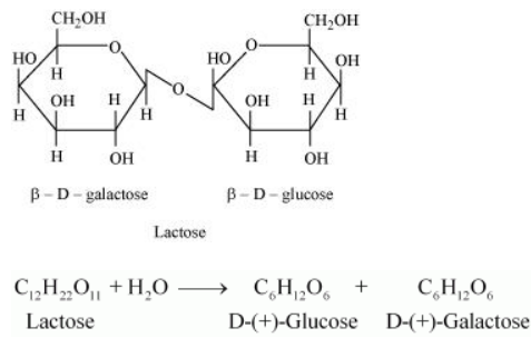 NCERT Solutions for Class 12  Chemistry Chapter 14 - Biomolecules