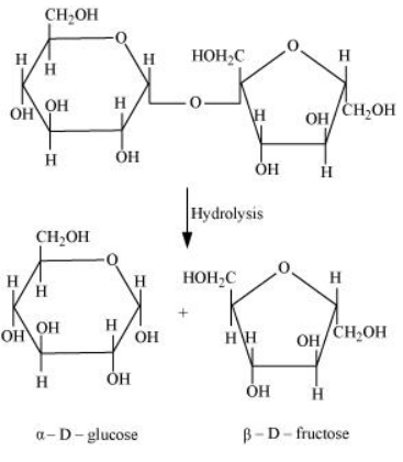 NCERT Solutions for Class 12  Chemistry Chapter 14 - Biomolecules