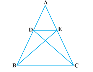 ncert solutions class 10 chapter 6 Ncert solutions class 10 chapter 6-19