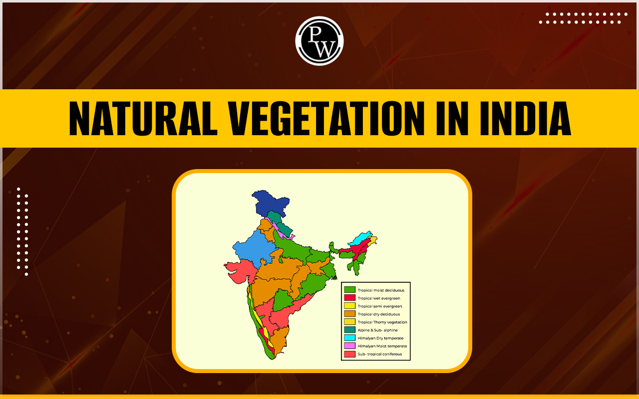 Natural Vegetation in India
