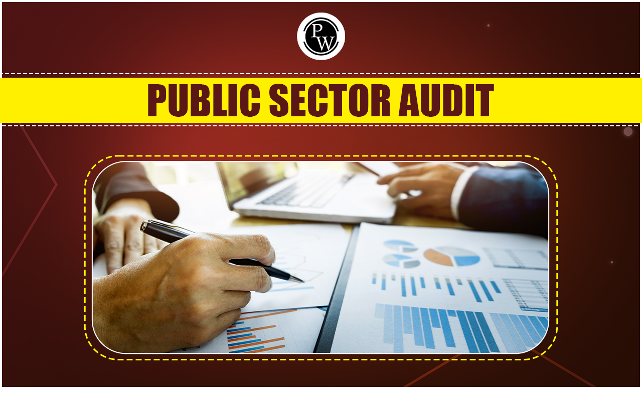 Public Sector Audit