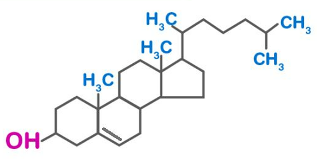 Cholesterol Formula