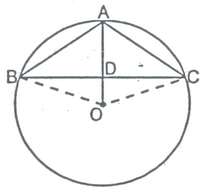 CIRCUMFERENCE OF A CIRCLE