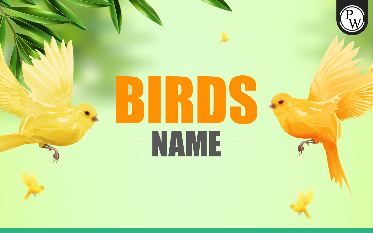 Birds Name