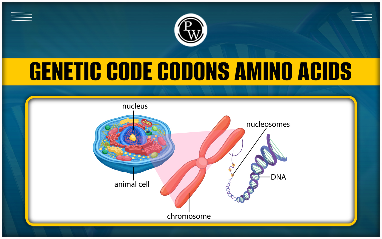 Genome And Genomics