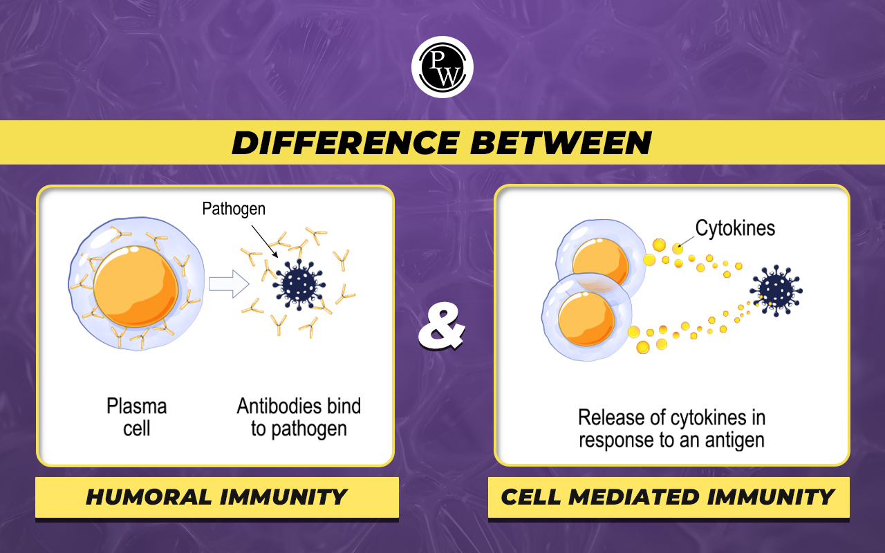 Difference Between Humoral and Cell Mediated Immunity