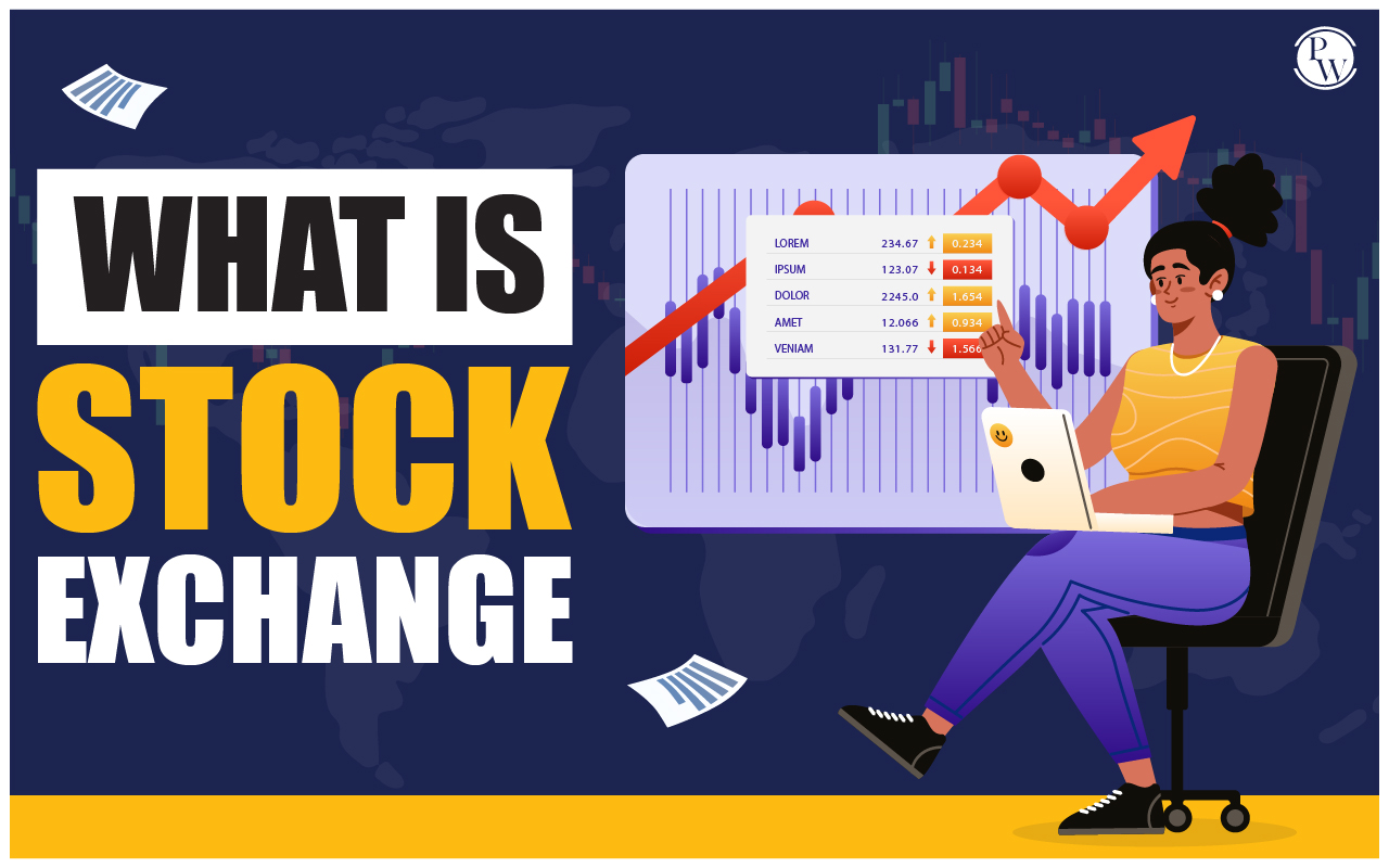 What Is a Stock Exchange? | Types and Definition