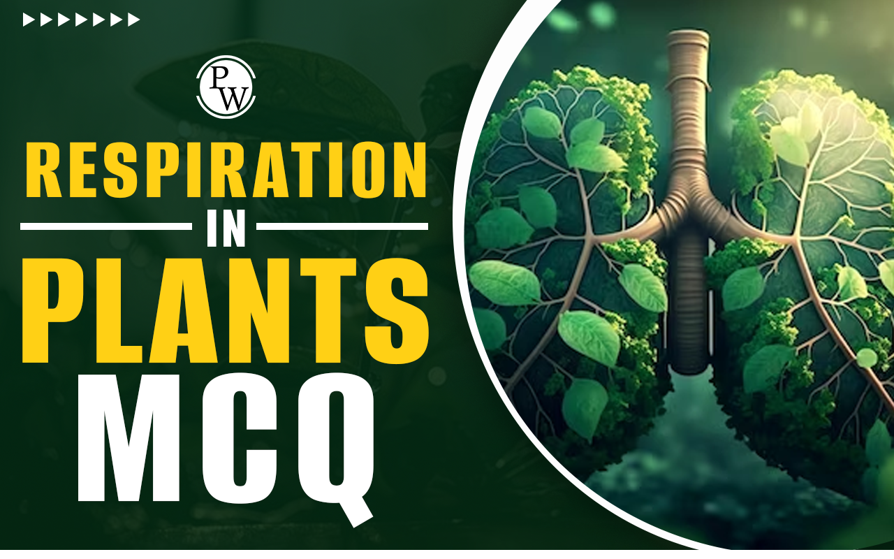Respiration In Plants MCQ