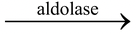 Chemical Nature of Enzymes