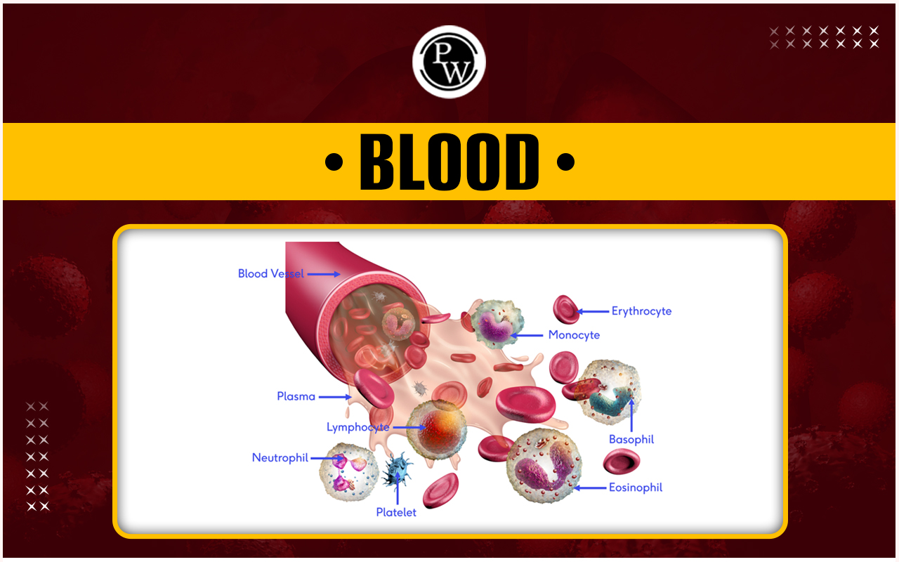Blood