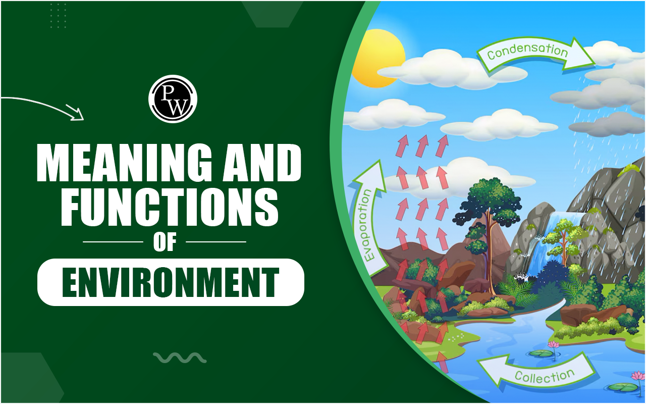 Meaning and Functions of Environment