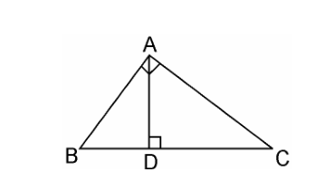 ncert solutions class 10 chapter 6 Ncert solutions class 10 chapter 6-24