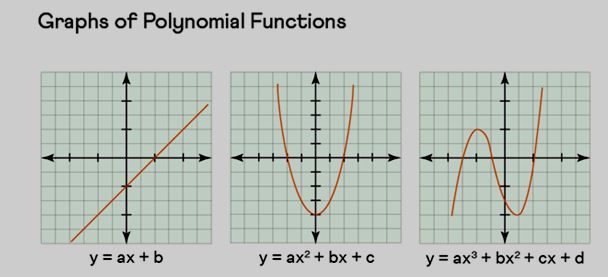 Graphical Polynomial Functions