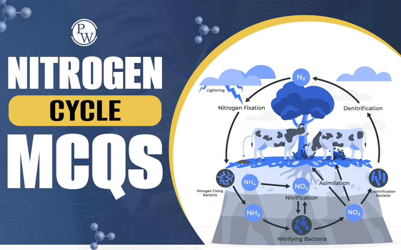 Nitrogen Cycle MCQ
