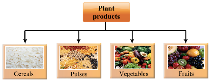 Classification of food Proteins