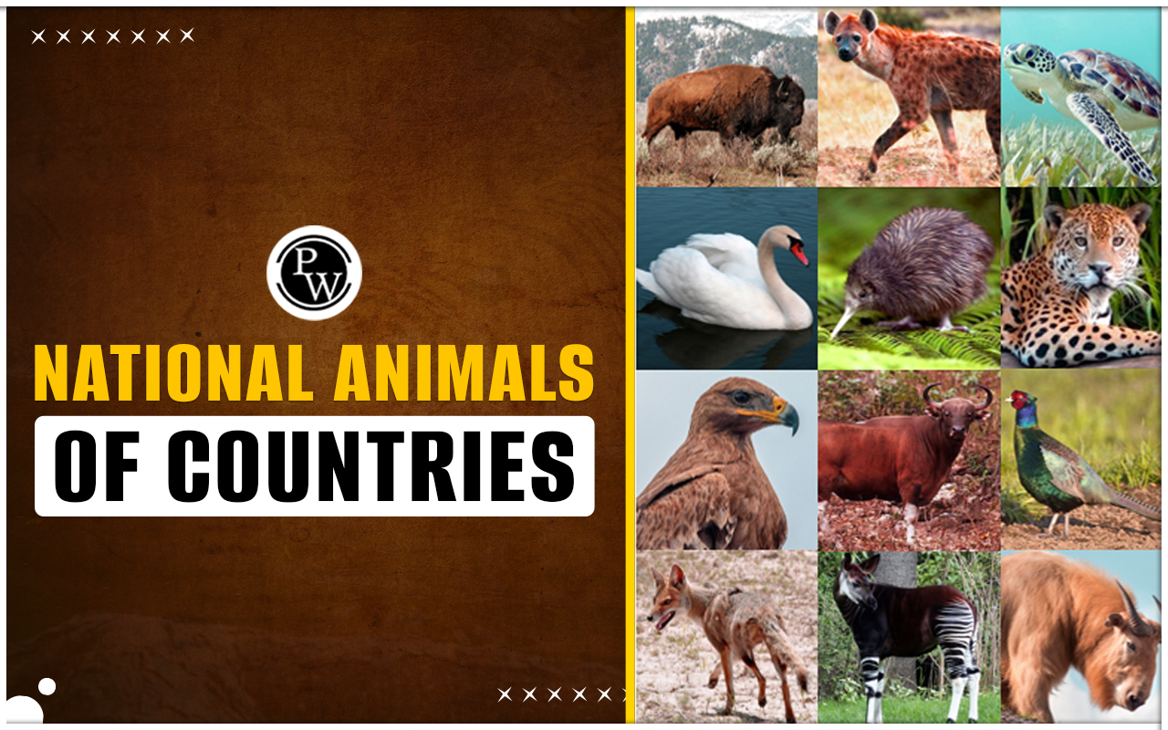 National Animals of Countries