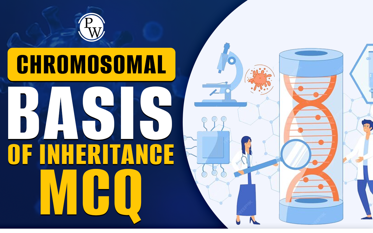 Chromosomal Basis of Inheritance MCQ
