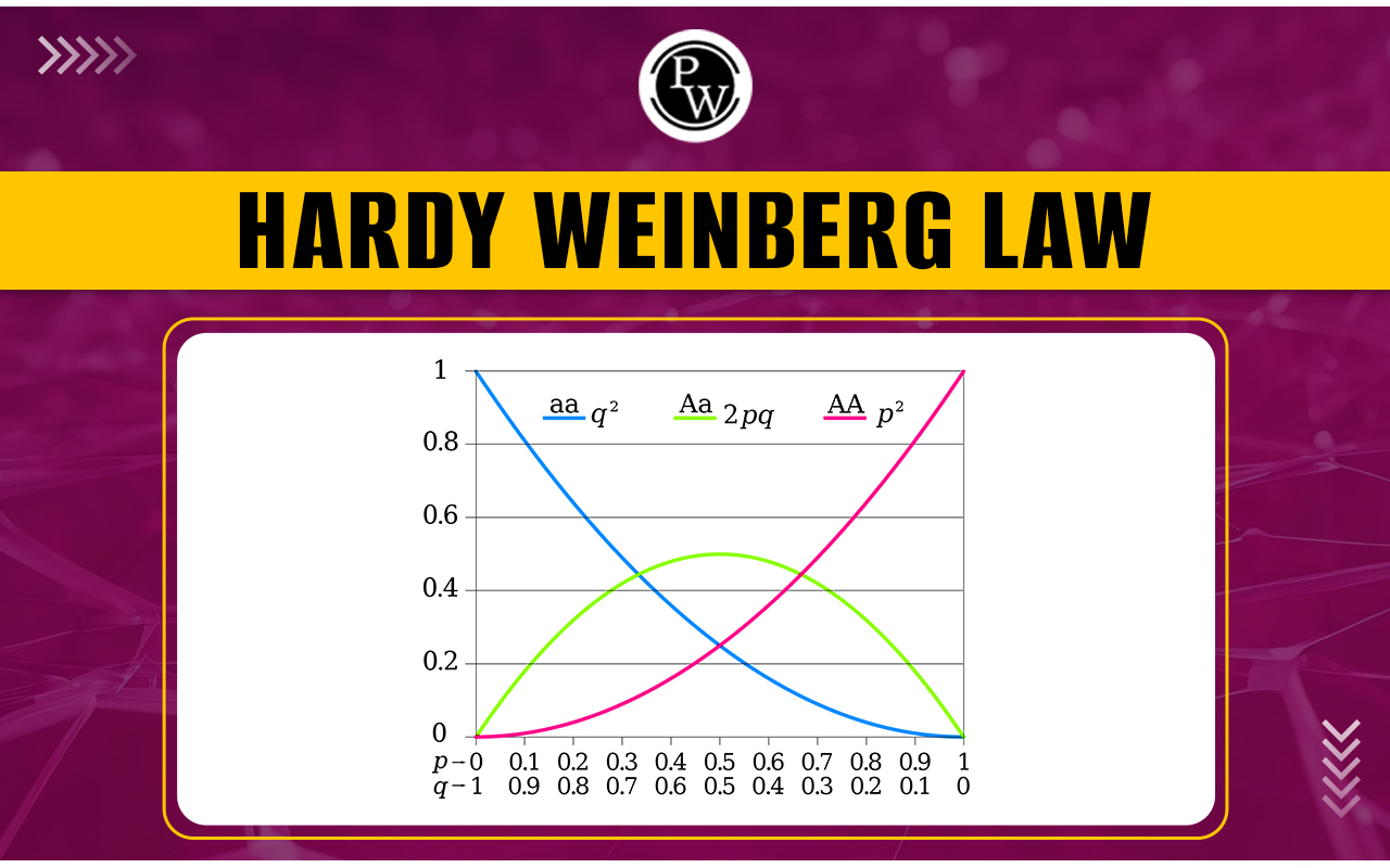 Hardy Weinberg Law