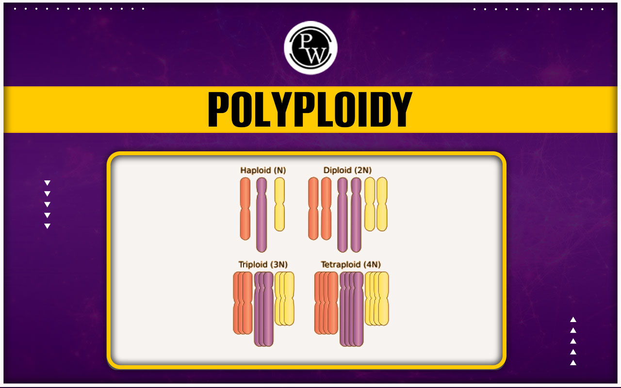 Polyploidy