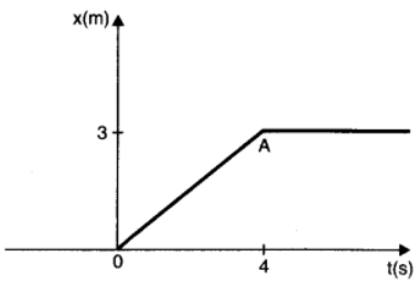 NCERT Solutions for Class 11