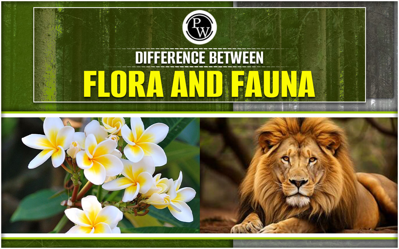 Difference Between Flora and Fauna