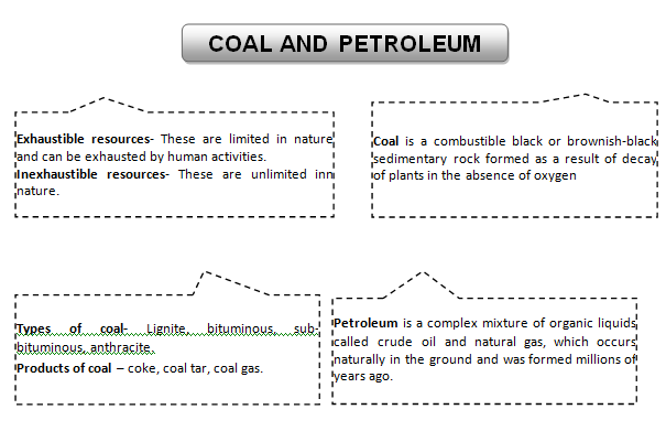 coal petroleum revision
