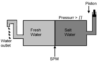 Osmosis And Osmotic Pressure