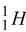 Atomic Nucleus