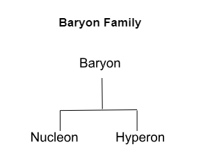Baryon Family