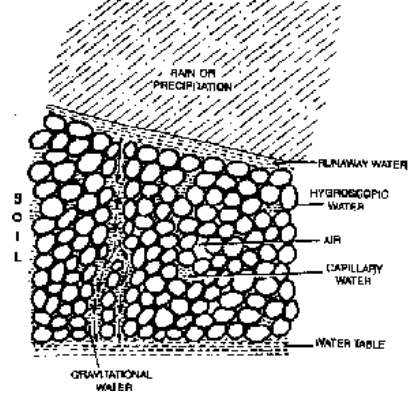Environment Factors