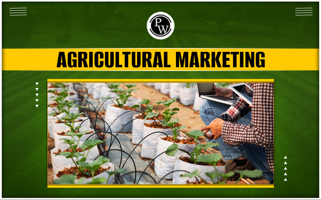 What is Agricultural Marketing
