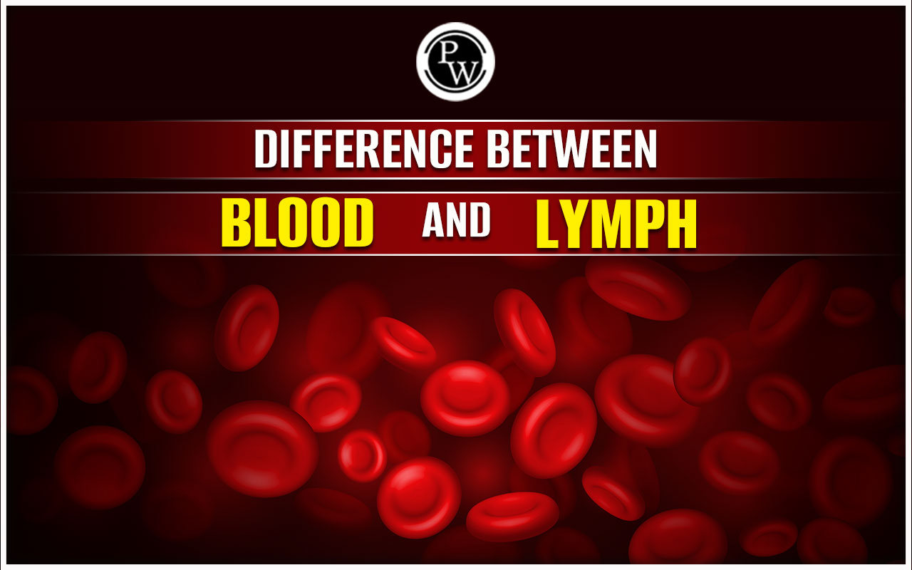 Difference Between Blood and Lymph