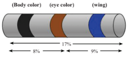 A Chromosome Map Diagram