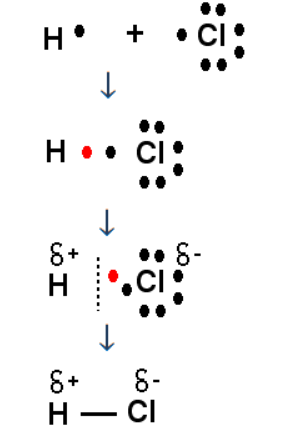 NCERT Solutions for Class 11 Science Chemistry Chapter 4