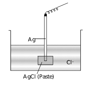 Types Of Half Cells