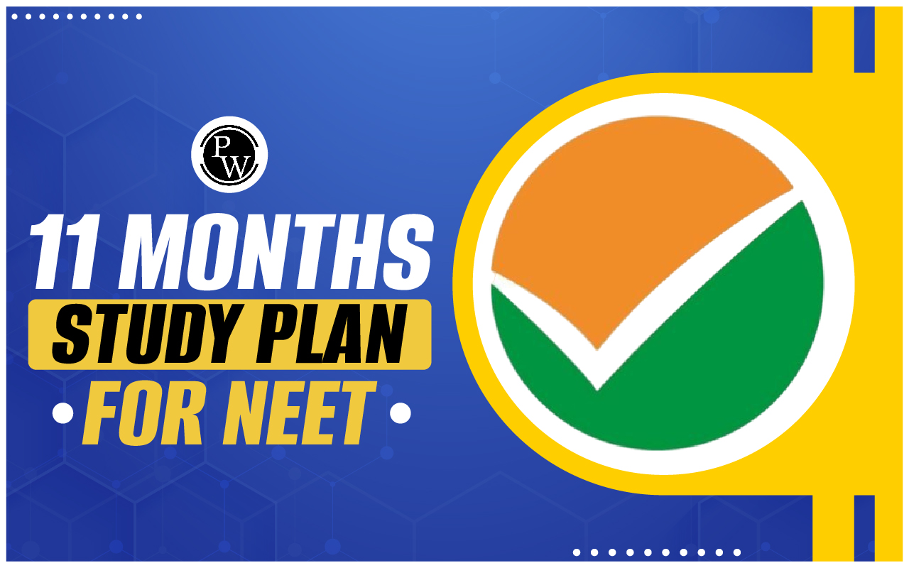11 Months Study Plan for NEET 2025
