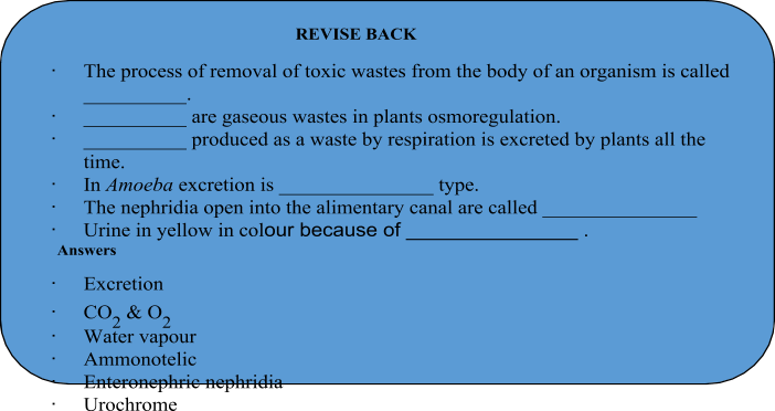 Excretion