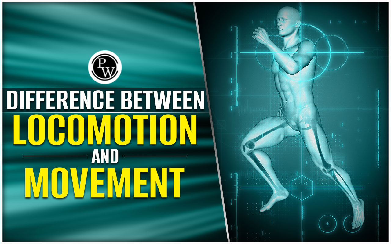 Difference Between Locomotion and Movement