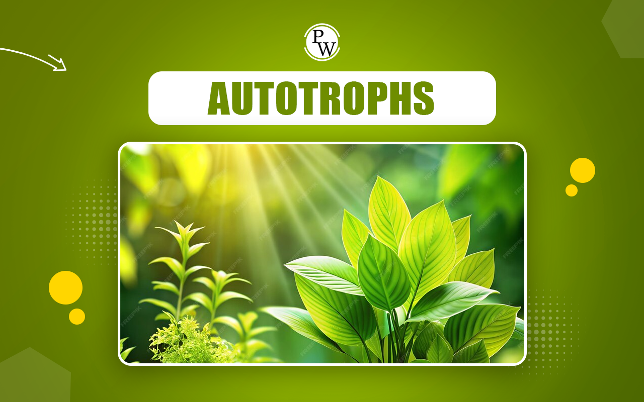 Autotrophs, Definition, Types, Examples and MCQs for NEET Exam