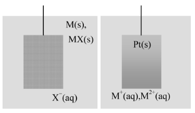 Electrochemical Cells