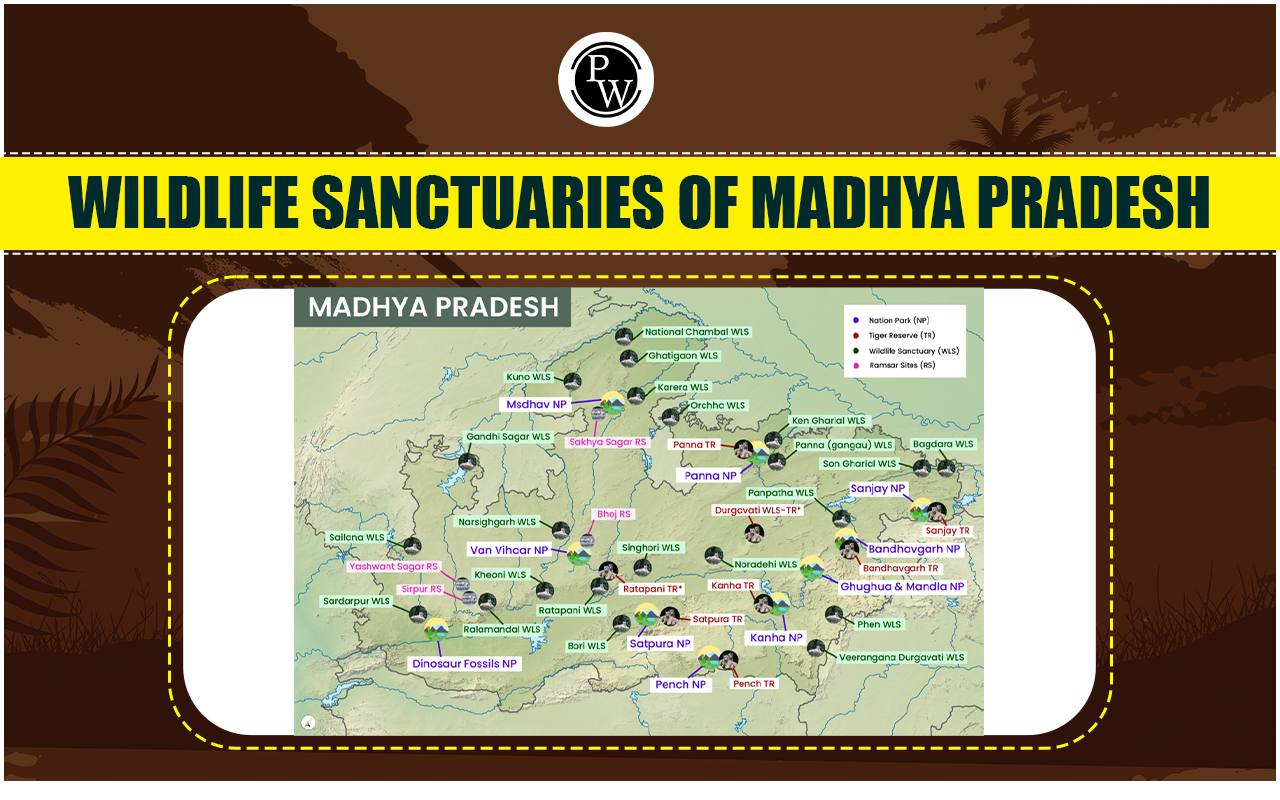 Wildlife Sanctuaries of Madhya Pradesh