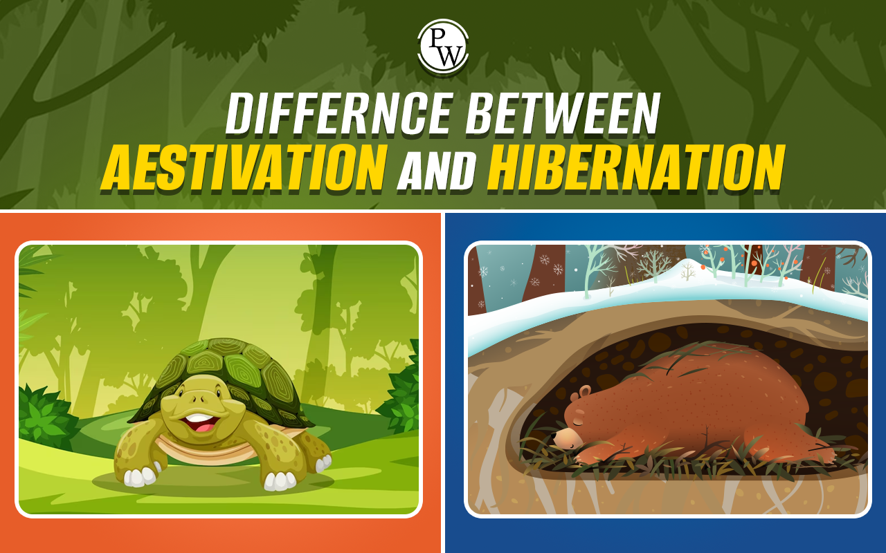Difference Between Aestivation And Hibernation