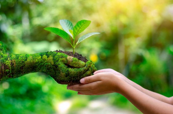 World Environment Day Slogans on Save Trees