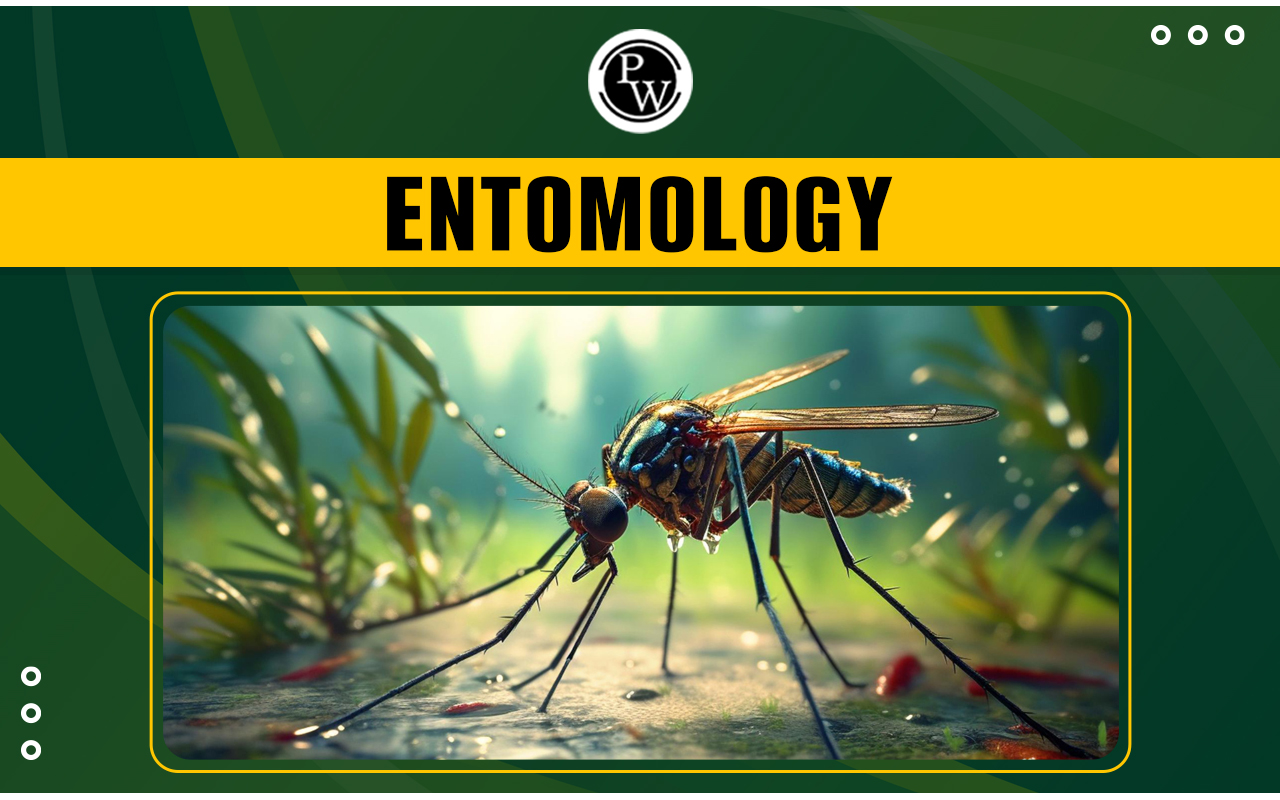 Entomology