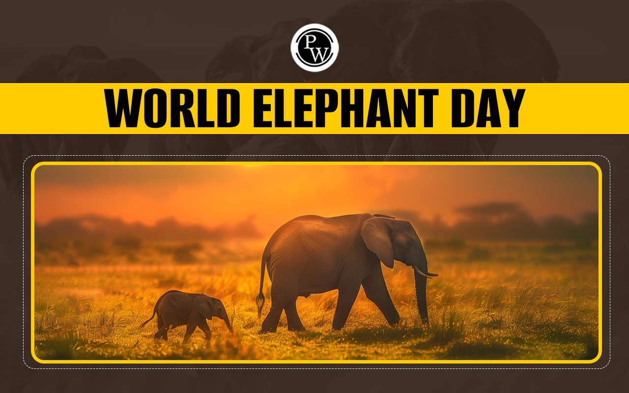 World Elephant Day 2024