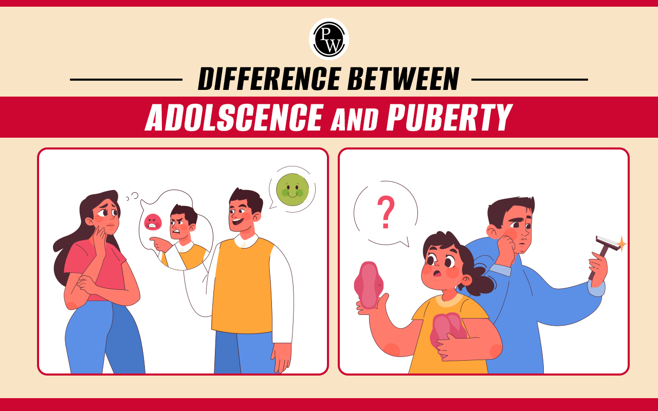 Difference Between Adolescence and Puberty
