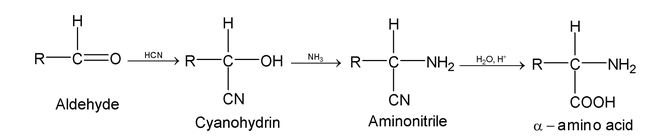 Cyanides And Isocyanides 