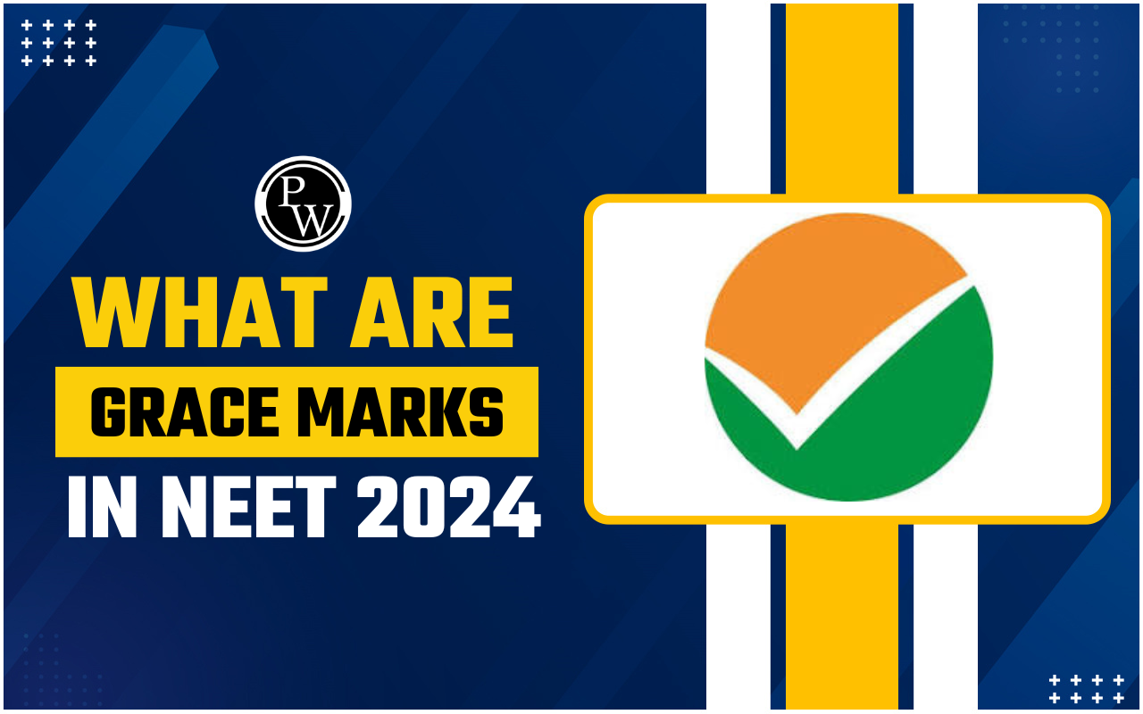 What Are Grace Marks in NEET 2024?
