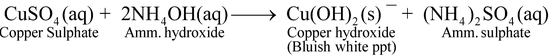 Double Displacement Reactions