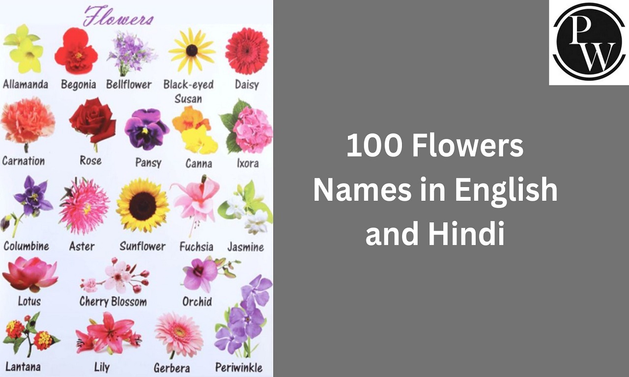 Flowers Names: